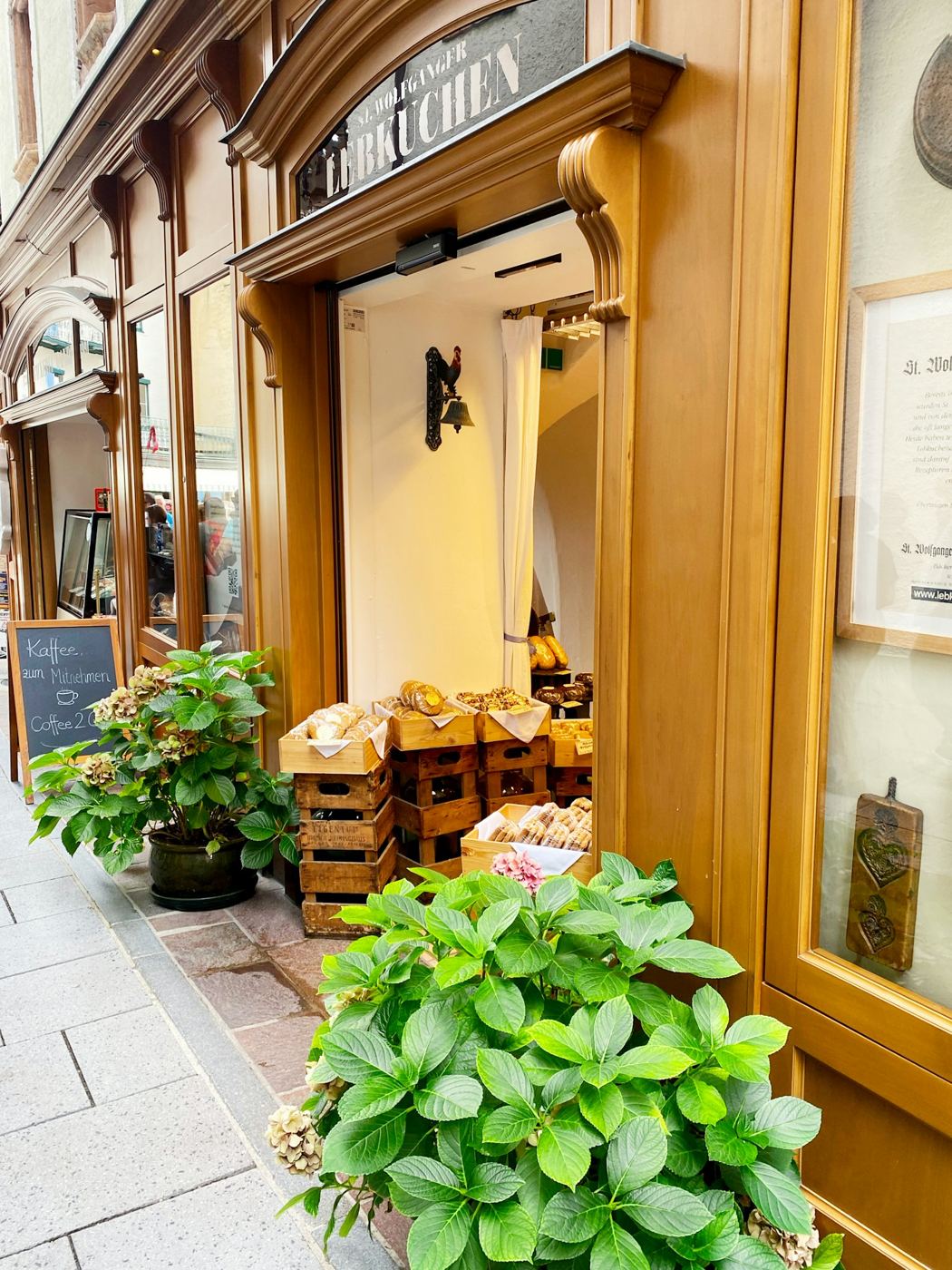 植木の並ぶ店の入り口